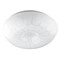 Купить Потолочный светодиодный светильник ЭРА Паутина SPB-6-24-4K (B) Б0019807 в Туле