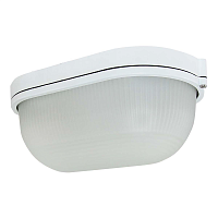 Купить Настенно-потолочный светильник TDM Electric НПБ1201 SQ0303-0028 в Туле