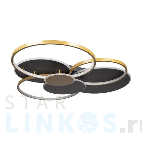 Купить Потолочный светодиодный светильник Loft IT Megan 10163 Black за 28 390 руб. в Туле фото 2 Купить с доставкой Потолочный светодиодный светильник Loft IT Megan 10163 Black в Туле фото 2