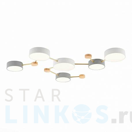 Купить Потолочный светильник Evoluce DOSSENA SLE600102-06 за 19 950 руб. в Туле фото 2 Купить с доставкой Потолочный светильник Evoluce DOSSENA SLE600102-06 в Туле фото 2