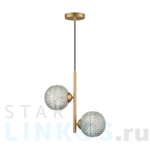 Купить Подвесная люстра Lumion Moderni Geneva 5292/2 за 2 260 руб. в Туле Купить с доставкой Подвесная люстра Lumion Moderni Geneva 5292/2 в Туле