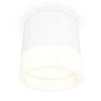 Купить Комплект накладного светильника Ambrella light Techno Spot XS (C8110, N8401) XS8110001 в Туле