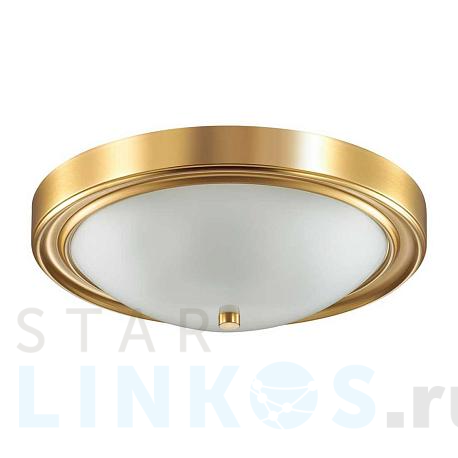 Купить Настенно-потолочный светильник Lumion Vintage Nina 5259/3C за 5 500 руб. в Туле фото 2 Купить с доставкой Настенно-потолочный светильник Lumion Vintage Nina 5259/3C в Туле фото 2