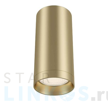 Купить Потолочный светильник Maytoni Focus C010CL-01MG за 1 630 руб. в Туле фото 2 Купить с доставкой Потолочный светильник Maytoni Focus C010CL-01MG в Туле фото 2