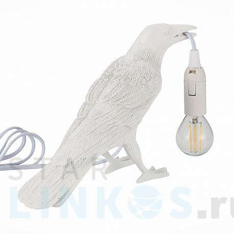 Купить с доставкой Настольная лампа Evoluce Gavi SLE115304-01 в Туле фото 2