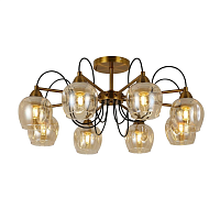 Купить Потолочная люстра Evoluce Acro SLE110002-08 в Туле