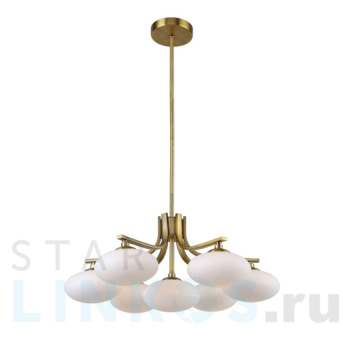 Купить Подвесная люстра Favourite Pernetti 2513-7P за 22 800 руб. в Туле Купить с доставкой Подвесная люстра Favourite Pernetti 2513-7P в Туле