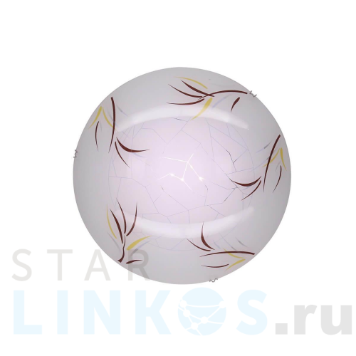 Купить Настенный светильник Citilux Ива CL918009 за 990 руб. в Туле Купить с доставкой Настенный светильник Citilux Ива CL918009 в Туле