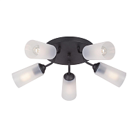 Купить Потолочная люстра Vitaluce V3762-1/5PL в Туле