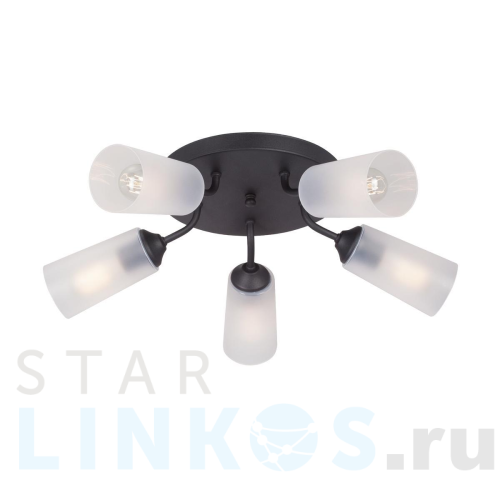 Купить Потолочная люстра Vitaluce V3762-1/5PL за 4 070 руб. в Туле Купить с доставкой Потолочная люстра Vitaluce V3762-1/5PL в Туле