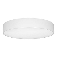 Купить Потолочный светодиодный светильник Arlight SP-Tor-Pill-R600-50W Day4000 022130(2) в Туле