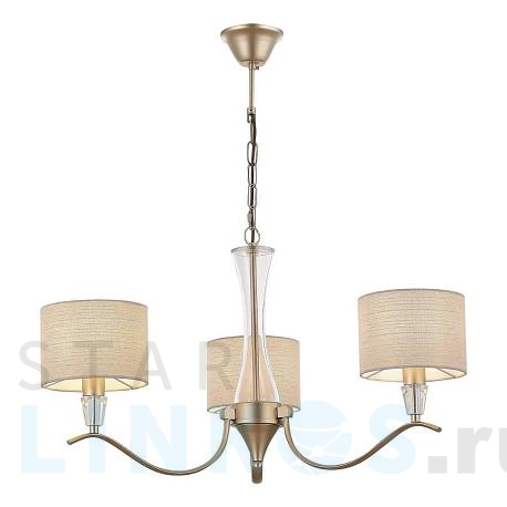 Купить Подвесная люстра Evoluce Cassia SLE1126-203-03 за 10 230 руб. в Туле фото 2 Купить с доставкой Подвесная люстра Evoluce Cassia SLE1126-203-03 в Туле фото 2