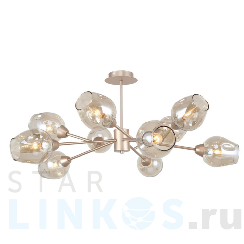 Купить Потолочная люстра F-Promo 2658-10U за 18 800 руб. в Туле Купить с доставкой Потолочная люстра F-Promo 2658-10U в Туле