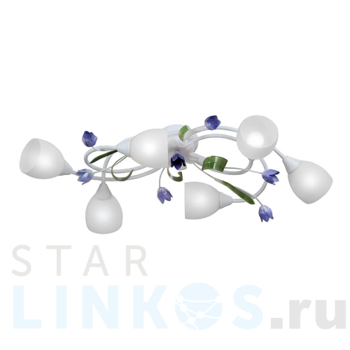 Купить Потолочная люстра Vitaluce V1467-0/6PL за 10 195 руб. в Туле Купить с доставкой Потолочная люстра Vitaluce V1467-0/6PL в Туле