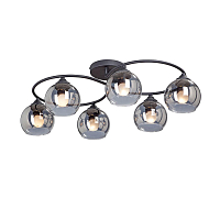 Купить Потолочная люстра Vitaluce V4965-1/6PL в Туле