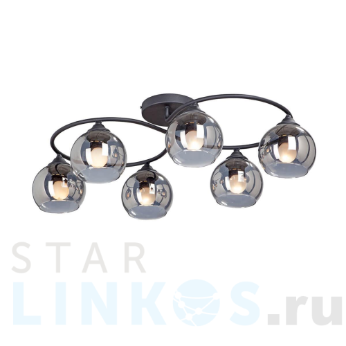 Купить Потолочная люстра Vitaluce V4965-1/6PL за 7 397 руб. в Туле Купить с доставкой Потолочная люстра Vitaluce V4965-1/6PL в Туле