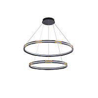 Купить Подвесной светодиодный светильник Favourite Rota 4131-2P в Туле