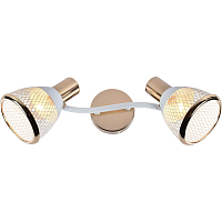 Купить Спот Reluce 05967-0.8-02 WH+FGD в Туле