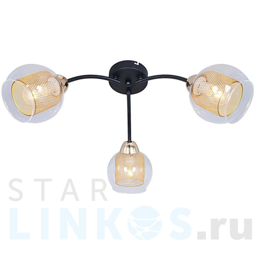 Купить Потолочная люстра Illumico IL7163-3CIN-79 BK GD за 2 100 руб. в Туле Купить с доставкой Потолочная люстра Illumico IL7163-3CIN-79 BK GD в Туле