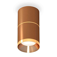 Купить Комплект накладного светильника Ambrella light Techno Spot XS7404061 SCF/PYG кофе песок/золото желтое полированное (C7404, A2072, C7404, N7034) в Туле