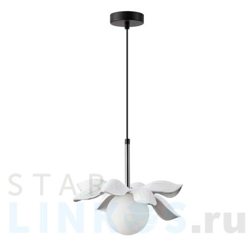 Купить с доставкой Подвесной светильник Lumion Tanzania 5616/1 в Туле