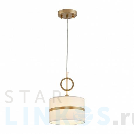 Купить Подвесной светильник Favourite Mateo 2634-1P за 4 900 руб. в Туле фото 2 Купить с доставкой Подвесной светильник Favourite Mateo 2634-1P в Туле фото 2
