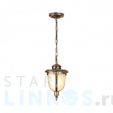 Купить Уличный подвесной светильник Elektrostandard Atlas a028009 за 3 730 руб. в Туле фото 2 Купить с доставкой Уличный подвесной светильник Elektrostandard Atlas a028009 в Туле фото 2