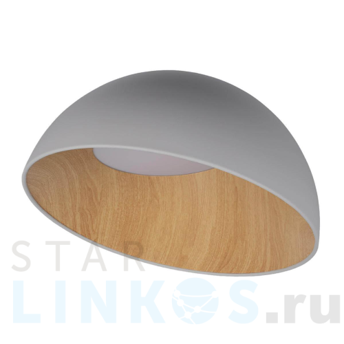 Купить с доставкой Потолочный светодиодный светильник Loft IT Egg 10197/500 Grey в Туле