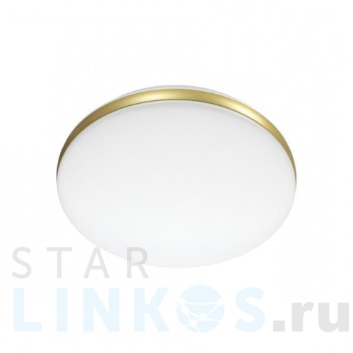 Купить с доставкой Настенно-потолочный светодиодный светильник Sonex Ringo 7626/AL в Туле