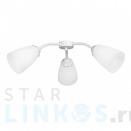Купить Потолочная люстра Vitaluce V3187/3PL за 2 093 руб. в Туле фото 2 Купить с доставкой Потолочная люстра Vitaluce V3187/3PL в Туле фото 2