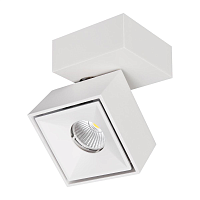 Купить Светодиодный спот Citilux Стамп CL558020N в Туле