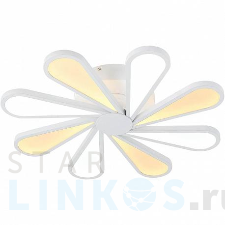 Купить Потолочная люстра Lucia Tucci Miracoli 201.8 LED за 49 550 руб. в Туле фото 2 Купить с доставкой Потолочная люстра Lucia Tucci Miracoli 201.8 LED в Туле фото 2