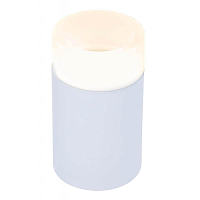 Купить Потолочный светильник IMEX Leon IL.0005.1500 WH в Туле