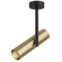 Купить Спот Maytoni Elti C020CL-01GB в Туле