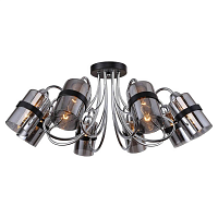 Купить Потолочная люстра Lussole Lgo Cochise GRLSP-8085 в Туле