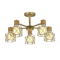 Купить Потолочная люстра Evoluce Stelitto SLE110402-05 в Туле