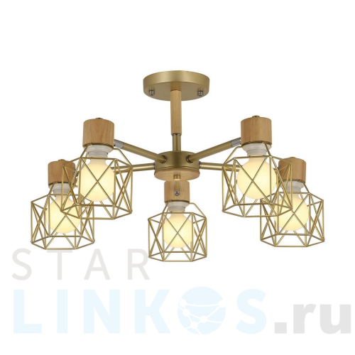 Купить Потолочная люстра Evoluce Stelitto SLE110402-05 за 12 850 руб. в Туле Купить с доставкой Потолочная люстра Evoluce Stelitto SLE110402-05 в Туле