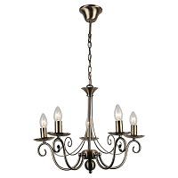 Купить Подвесная люстра Lussole GRLSP-9941 в Туле