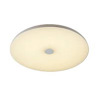 Купить Потолочный светодиодный светильник Sonex Vasta led Roki muzcolor 4629/EL в Туле