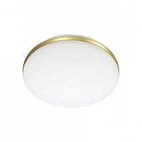 Купить Настенно-потолочный светодиодный светильник Sonex Ringo 7626/DL в Туле