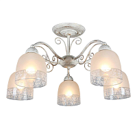 Купить Потолочная люстра Omnilux Ferraro OML-54907-05 в Туле