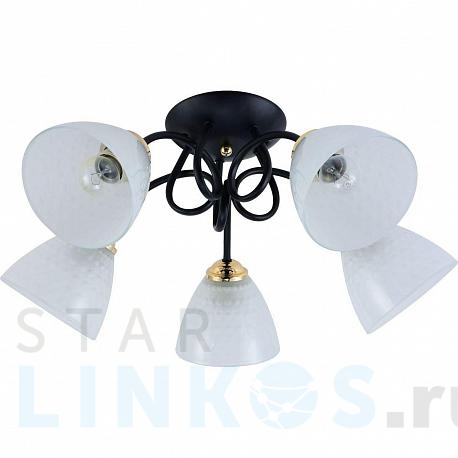 Купить Потолочная люстра Rivoli Luiza 9140-305 Б0054904 за 5 660 руб. в Туле фото 2 Купить с доставкой Потолочная люстра Rivoli Luiza 9140-305 Б0054904 в Туле фото 2