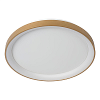 Купить Потолочный светодиодный светильник Lucide Vidal 46103/38/02 в Туле