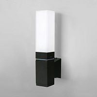 Купить Уличный настенный светодиодный светильник Elektrostandard 1534 Techno Led черный a052856 в Туле