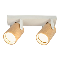 Купить Спот IMEX SP.034-52-86 в Туле