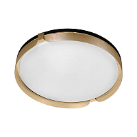 Купить Потолочный светодиодный светильник Gerhort G61240/1GD WT в Туле