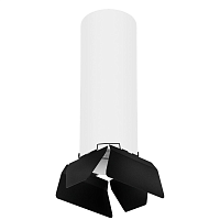Купить Потолочный светильник Lightstar Rullo (216496+202487) R6496487 в Туле