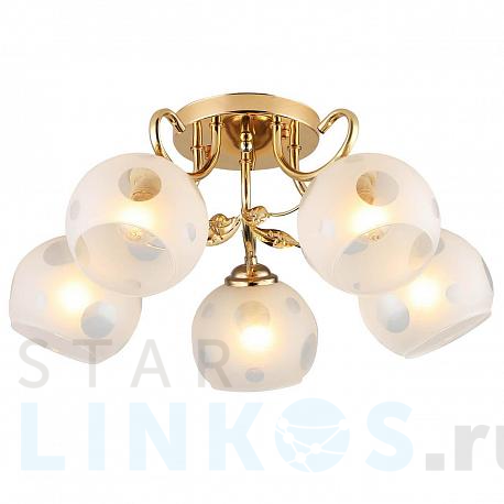 Купить Потолочная люстра Hiper Amanda H159-1 за 5 292 руб. в Туле фото 2 Купить с доставкой Потолочная люстра Hiper Amanda H159-1 в Туле фото 2