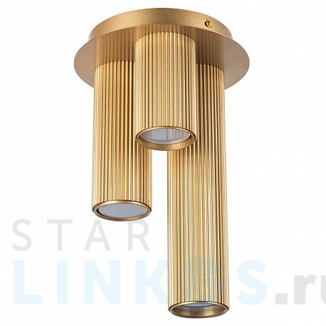 Купить Потолочная люстра Lightstar Roma 718033 за 11 816 руб. в Туле фото 2 Купить с доставкой Потолочная люстра Lightstar Roma 718033 в Туле фото 2