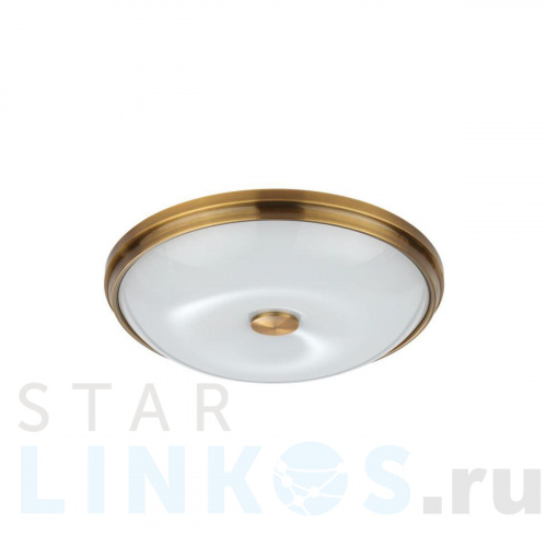 Купить Потолочный светильник Odeon Light Walli Pelow 4956/4 за 8 840 руб. в Туле Купить с доставкой Потолочный светильник Odeon Light Walli Pelow 4956/4 в Туле